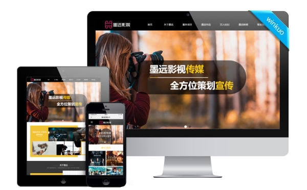 影視傳媒網站建設案例